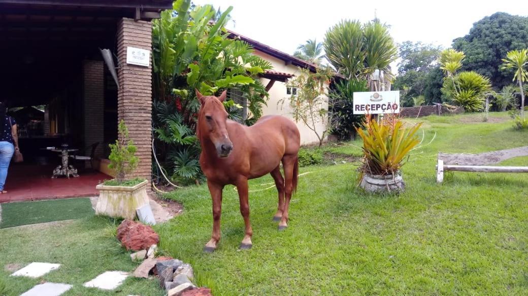 Hotel Fazenda Agua da Prata Agri Turismo Camacari Bagian luar foto