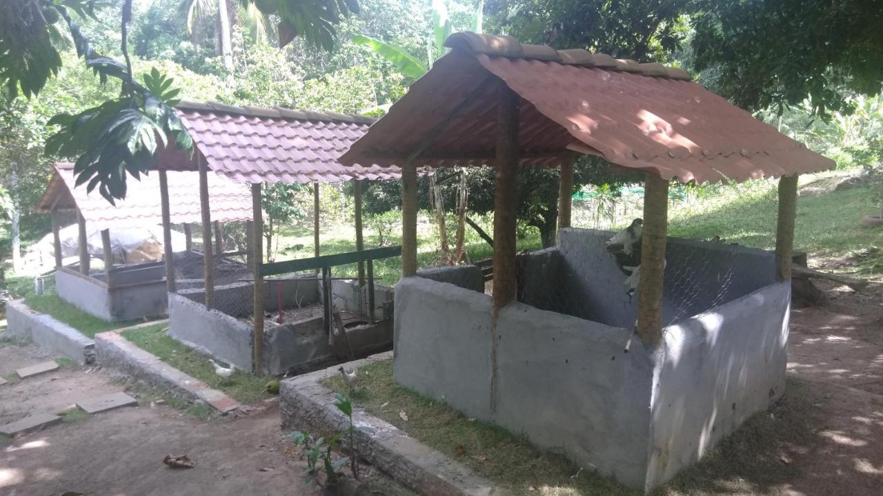 Hotel Fazenda Agua da Prata Agri Turismo Camacari Bagian luar foto